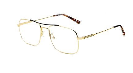 4 FREMONT 17 GDBK 56